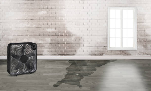 Water damage restoration experts in Beckley, WV