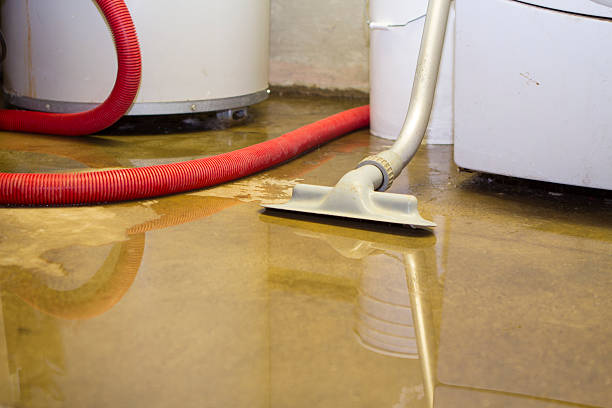 Best Water damage contractors near me  in Beckley, WV