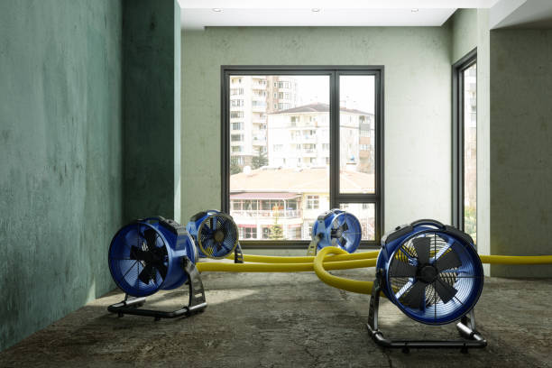 Best Flood restoration services  in Beckley, WV