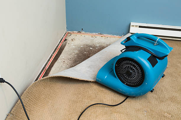 Best Basement water damage restoration  in Beckley, WV